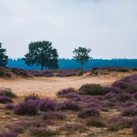 Casa vacanze Het Gouden Hert - Luxe Vakantiewoning Aan De Bosrand
